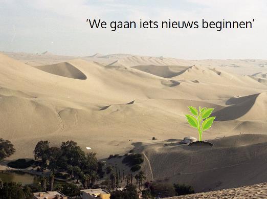 Dat doen we door in rondes onze gedachten op te schrijven en deze in de groep te delen, en te plaatsen op de boom.