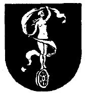 Het wordt door Staats Everts in 1874 beschreven: in zwart een aanziende, naakte Fortuin het linkerbeen staande op een bol, liggende in een schelp, die in een groene