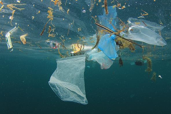 Door Henk Jongsma Inleiding Plastic Bahram Sadeghi bewaarde duizend dagen lang zijn plastic afval. In september 2016 werd alles uitgestald in de Van Gendthallen in Amsterdam.