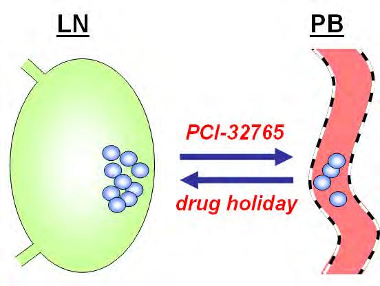 Hoe werkt ibrutinib en idelalisib ALC: Absolute Lymphocyte Count SPD: Sum of Product Diameter, Lymph Node Reduction Ibrutinib Zorgt dat