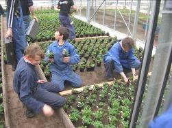 2.3.8 Opleiding tuinbouwarbeider 1. Doelstelling De jongeren krijgen een algemene beroepsopleiding binnen één opleiding.
