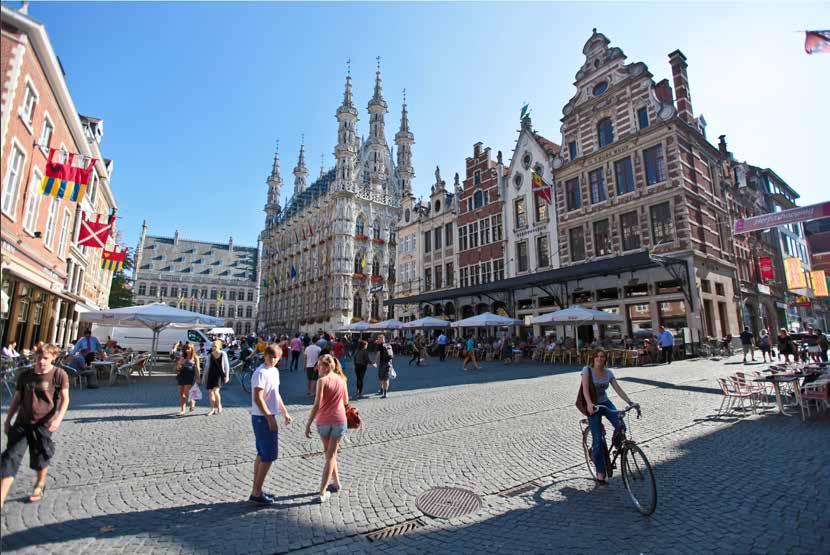 2.4.4 Belang van de verschillende distributiekanalen in Leuven Voor de Leuvense hotelsector zijn de directe reservaties zonder tussenschakels het belangrijkste distributiekanaal met een aandeel van