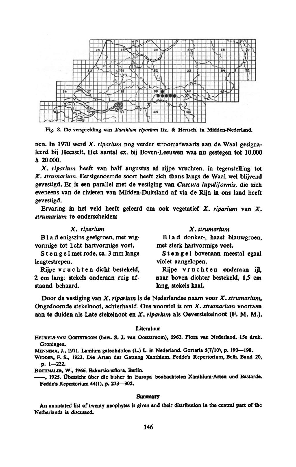 Fig. 8. De verspreiding van Xanthium riparium Itz. & Hertsch. in Midden-Nederland. nen. In 1970 werd X. riparium nog verder stroomafwaarts aan de Waal gesignaleerd bij Heesselt. Het aantal ex.