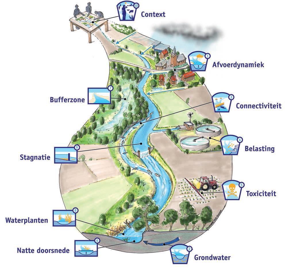 Ecologische sleutelfactoren (ESF) Voor het afleiden van doelen en het definiëren van maatregelen is een gedegen ecologische systeemanalyse nodig.