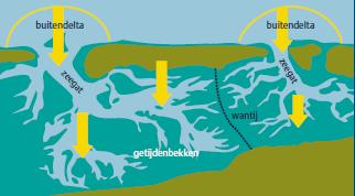 2 Gebiedsbeschrijving 2.1 Waddengebied Het Waddeneiland Terschelling is ca. 30 km lang en maximaal 4,5 km breed en maakt onderdeel uit van het Waddengebied (figuur 2.