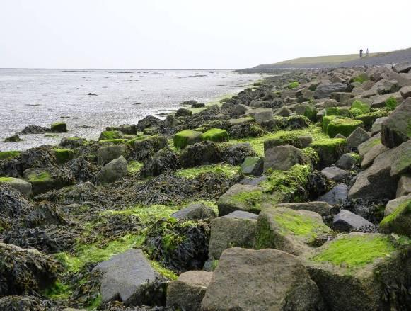 In de 2 e toetsronde op veiligheid had de Waddenzeedijk op Terschelling aanvankelijk een score goed tot voldoende gekregen.