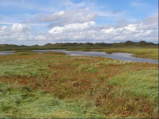 Op De Hon zouden de vegetatiezones langzaam richting duinen gaan opschuiven. Een deel van de lage kwelder zou overgaan in wad.