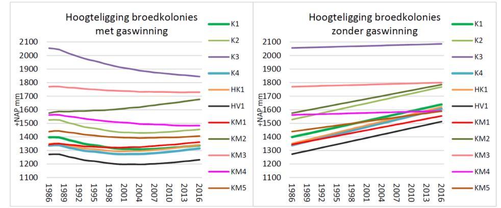 Maar de soort heeft ook het vermogen om eind juni een (vervolg)legsel te beginnen en dan in augustus wederom of alsnog uitvliegende jongen te hebben.