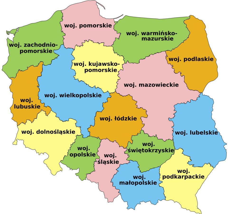 Nederlandse bedrijvigheid in Polen (2011)