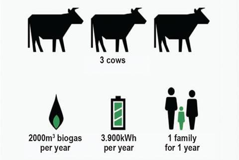 Energie opbrengst 3 Melkkoeien 2500 m³ biogas per jaar 4500 kwh / 1500 m³