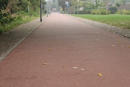 ruimt 2012 58: Windbos langs fietspad (nabij dijk) Boom