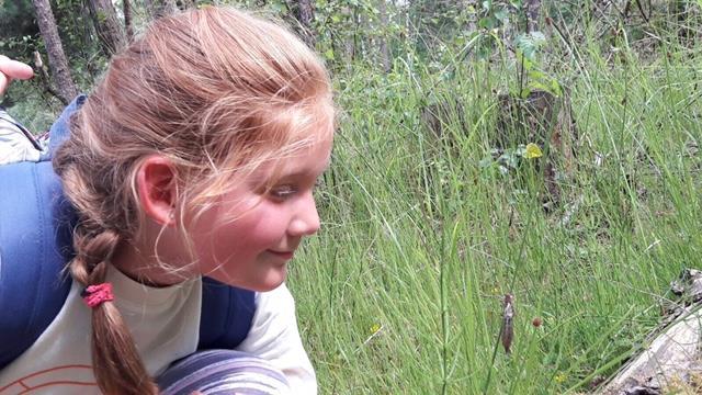 De groepen 5 zijn als educatieve schoolreis naar het