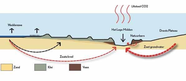 Daarnaast degradeert de bodem, verzilt de ondergrond en vindt er veel uitstoot van CO 2 plaats Figuur 1 Diverse landschapstypen binnen het Friese laagveen.