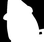 hoofdsteun - 4D armsteunen - Diverse bekledingsvarianten - Persoonlijk logo