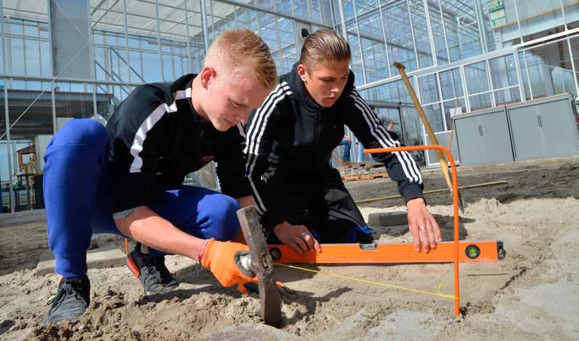 BOL NIVEAU 2, 4 Hovenier Groene vingers! Ben je graag buiten en technisch bezig? Groen is overal om je heen. Je ziet en werkt met mensen en machines.