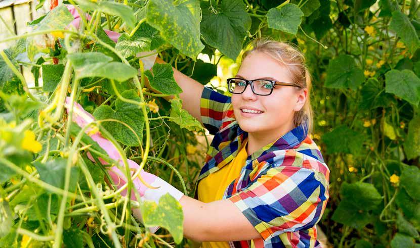 BOL NIVEAU 4 Teelttechnologie & Management Als groen in je genen zit Kies voor een hightech opleiding in je eigen regio! De Nederlandse glastuinbouwsector heeft wereldwijd een vooraanstaande positie.