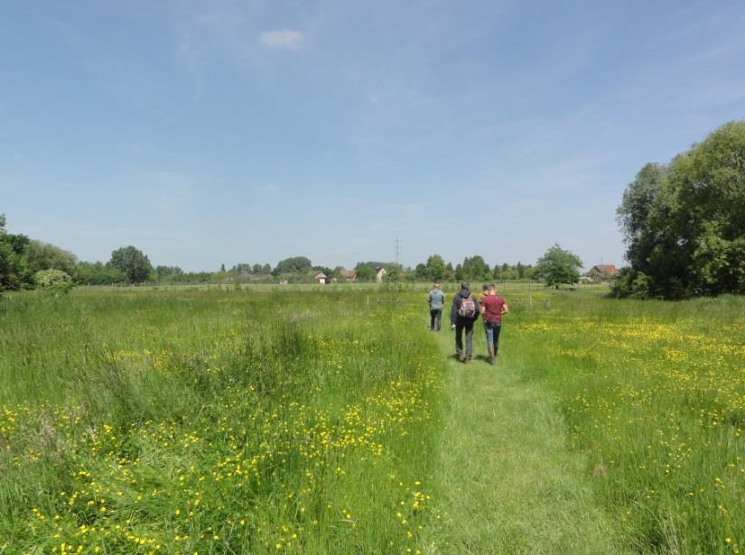 2. Veldbezoek: Geo-ecohydrologie van de Mombeekvallei en netwerkmoment Tijdens een veldbezoek aan de