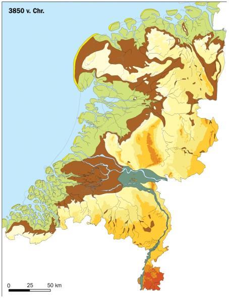 Waar komt dat zout vandaan?