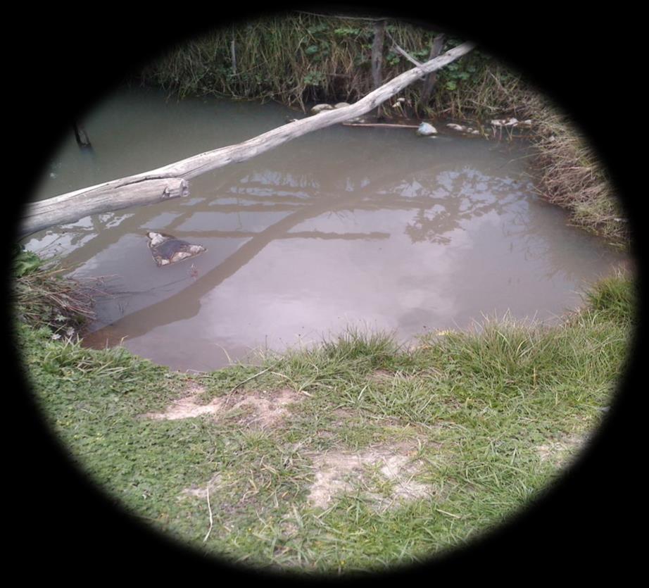 De rest van de bevolking wordt voortdurend blootgesteld aan allerlei ziekten die samenhangen met te weinig water, vervuild water, slechte hygiëne en het ontbreken van sanitaire voorzieningen.