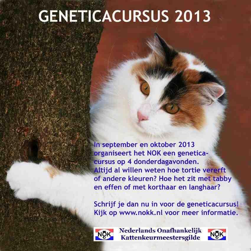 Cursus kattengenetica van het NOK, september/oktober 2013 In de kattenbladen en op internet is een enorme hoeveelheid informatie over de genetica bij katten te vinden.