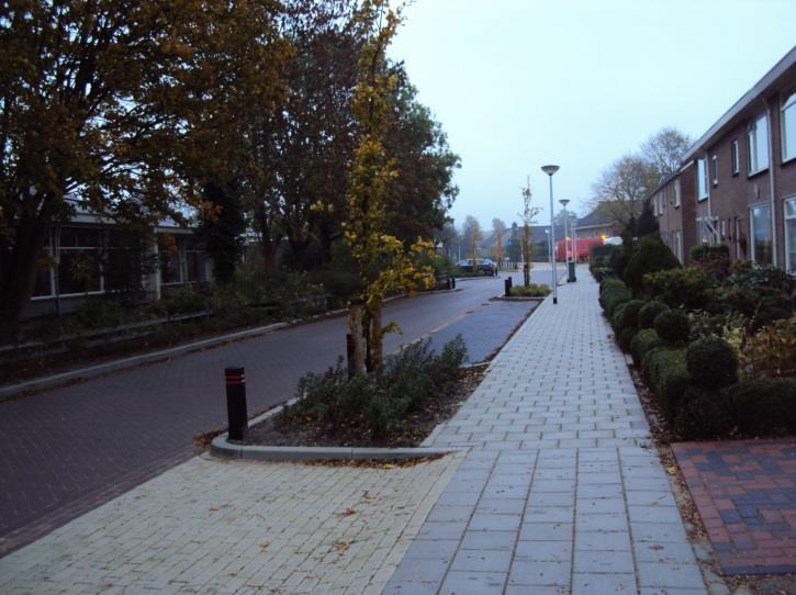 Gezien de beperkte ruimte voor bomen smalle en kleine bomen geplant.