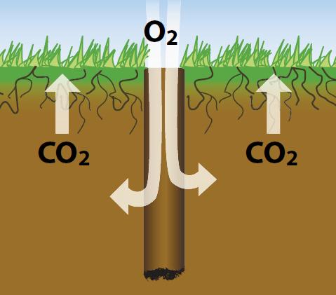 Zuurstofuitwisseling: In bodem stijgt hoeveelheid CO2, in de lucht stijgt