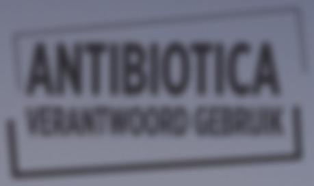 Honden: Voor de behandeling van infecties van huid en weke delen, inclusief pyodermie, wonden en abcessen, geassocieerd met Staphylococcus pseudointermedius, β-hemolytische Streptococcen, Escherichia