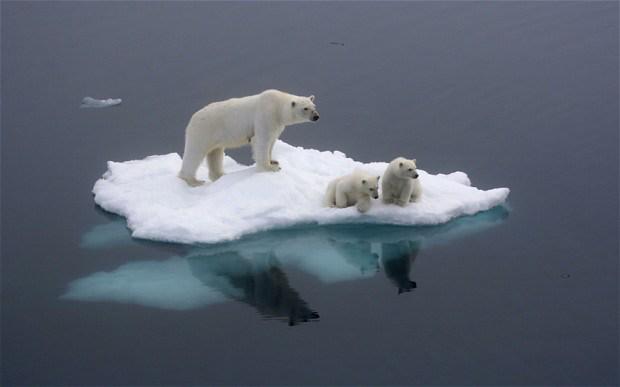 Het draait niet alleen om geld Per paneel bespaar je 3500 kg CO2 uitstoot in 25