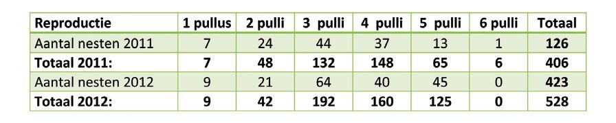 Aantal vastgestelde nesten met het aantal jongen per nest in 2011 en 2012 94%! Een record voor Vlaanderen! De reden is dat er steeds meer vrije broedplaatsen verloren gaan door afsluiting of afbraak.