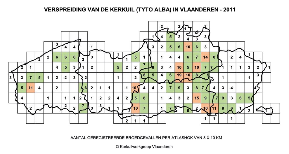 Resultaten 2011-2012 De Kerkuil in Vlaanderen Dat er bij de Kerkuil een duidelijk verband bestaat tussen de weersomstandigheden, het voedselaanbod en het broedsucces hoeft geen twijfel meer.