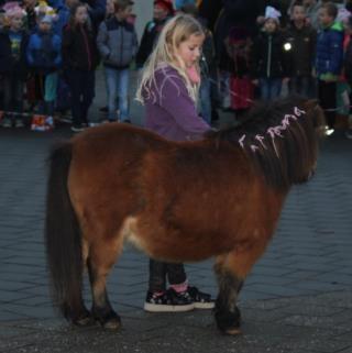 van groep 1 en 2. De kinderen maken op een leuke manier kennis met gymoefeningen.