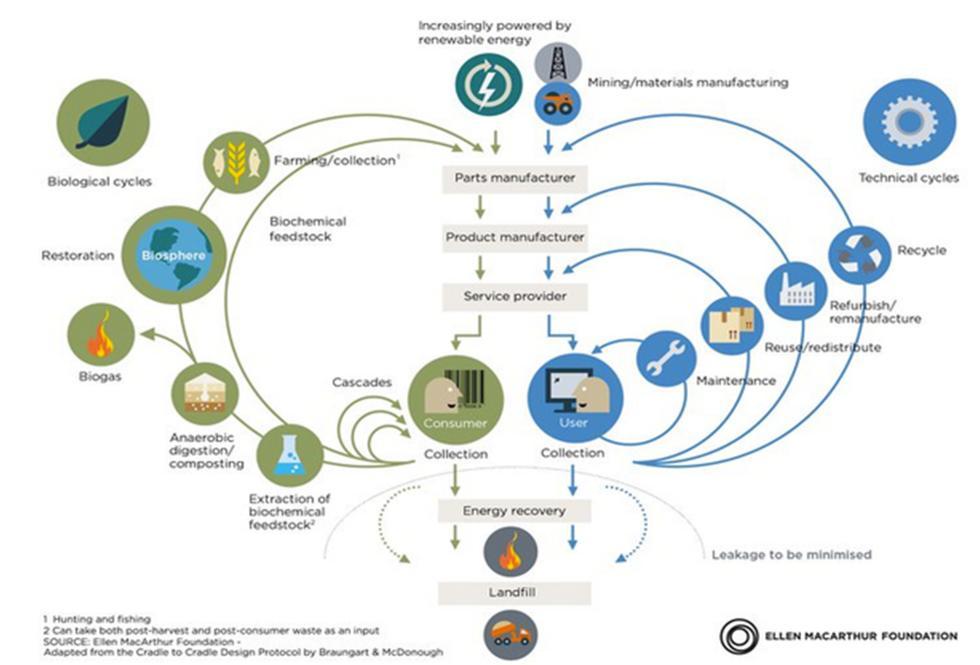 gebaseerd op 2 kringen. Namelijk de biologische kring (links) en de technosfeer kring. (Rechts) Het eerste wat opvalt aan het systeem dat afgebeeld wordt, is de scheiding van de twee kringen.