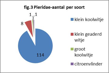 Bij de Pieridae was het klein koolwitje veruit de meest getelde soort terwijl van de citroenvlinder en groot koolwitje maar 1 imago werd gezien, fig.3.
