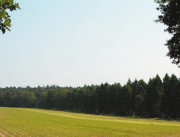 Van zuiden ligt een bos- en natuurgebied, tentijde aangelegd voor houtproductie.