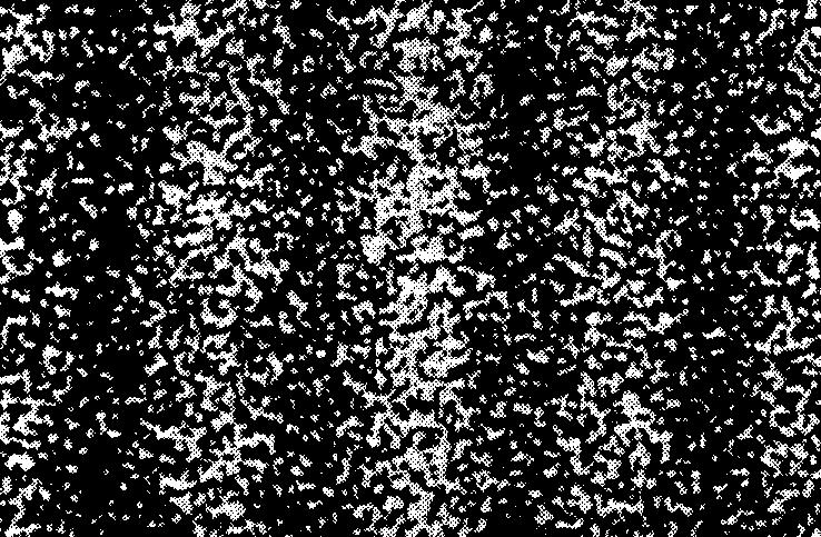 Het diffractiepatroon in het twee-spleten-experiment uitgevoerd met elektronen. [A. Tonomura et al., American Journal of Physics 57, 117 (1989)]. De statistische interpretatie impliceert normering, d.