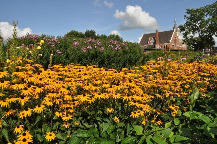 Een fragment van een klein, maar bloemenrijk volkstuincomplex