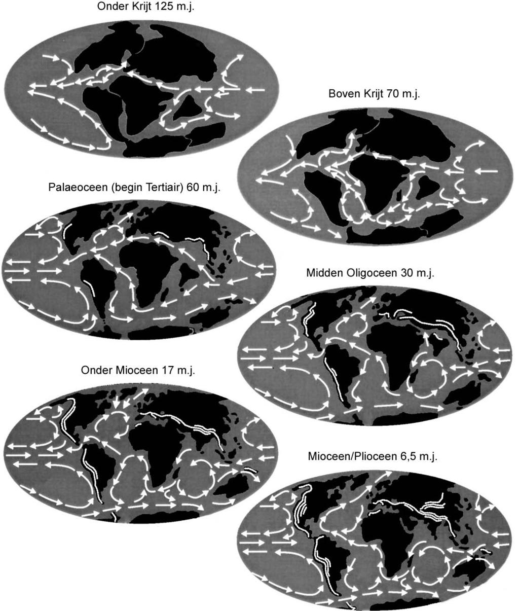 Opgave 9 bron 12 Ontwikkeling van de oceaancirculatie in de periode van 125 miljoen jaar geleden tot 6,5 miljoen jaar geleden De gebergten zijn lichte lijnen op het land, de witte pijlen zijn