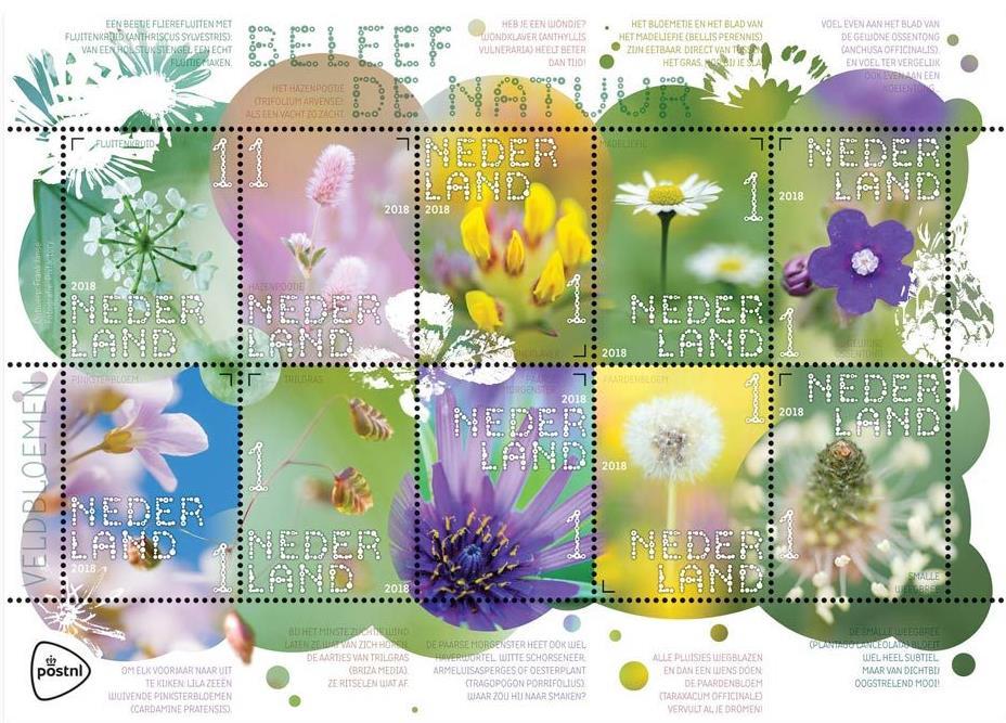 Veldbloemen Op 9 april verschijnt een fleurig velletje van tien verschillende zegels met afbeeldingen van Nederlandse veldbloemen in de reeks Beleef de natuur.
