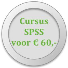 Oplossing 3: Zet een stukje voor het variabele- label in SPSS Je kunt een stukje tekst voor het variable- label zetten, zoiets als vraag 3a, vraag 3b, vraag 3c etc.