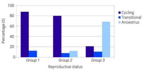 In groep 2 waren 8/25 (32%) cyclisch, 6/25 (24%) in de transitionele fase en 11/25 (44%) in anoestrus.