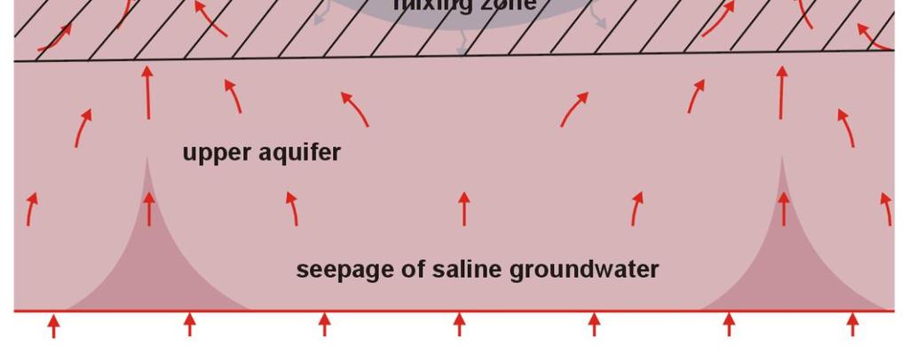 optimaliseren drainage: Test: 1. drainafstand Constant 2.