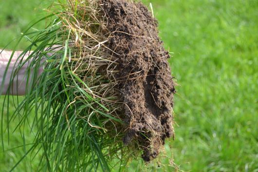 N-min bodemvoorraad Om aan de nitraatnorm te voldoen mag er bij een neerslagoverschot van 300 mm maximaal 34 kg N per ha uitspoelen.