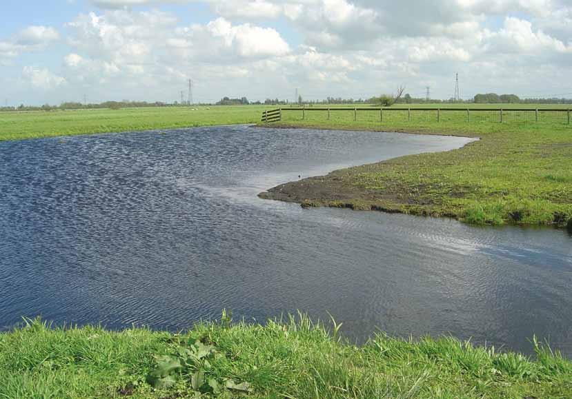 Nieuwe initiatieven De volgende initiatieven en pilots worden momenteel getest: Kringlooplandbouw Waterschap Amstel Gooi en Vecht werkt in samenwerking met collectief Rijn, Vecht en Venen aan een