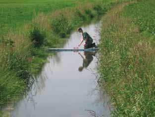 Waterberging Het Hoogheemraadschap de Stichtse Rijnlanden werkt aan het opzetten van een blauwe dienst waarbij water wordt geborgen op grasland dat in gangbaar landbouwkundig gebruik is.