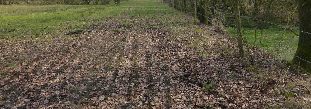 Het eerste deel van het aan te leggen pad loopt langs een bosrand over een voormalig agrarisch gebruikt perceel.