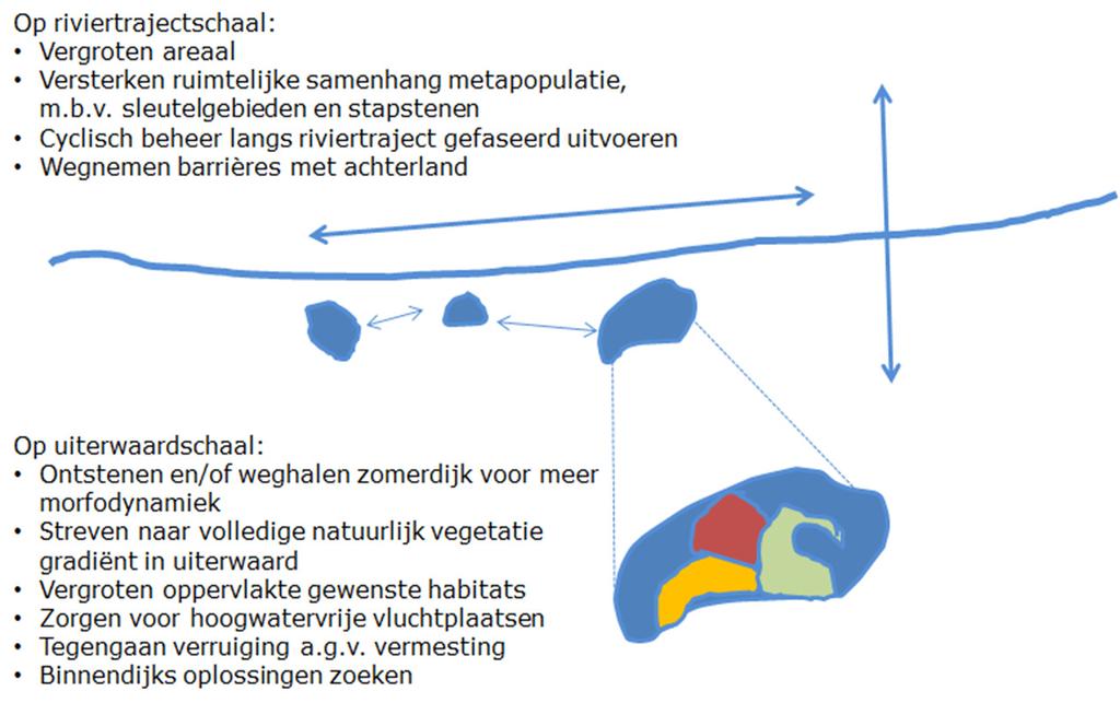 Adviezen voor