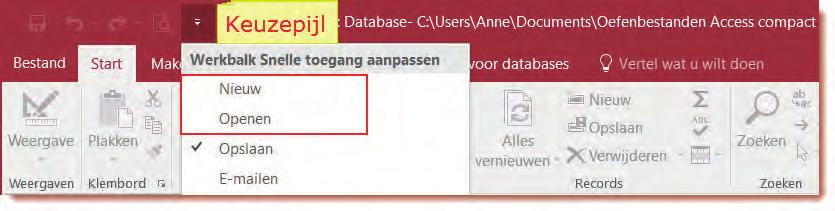 Hierin staan de knoppen die je vaak gebruikt. Dit zijn de knoppen om een database op te slaan en een actie ongedaan te maken. Achter de werkbalk staat een keuzepijl.