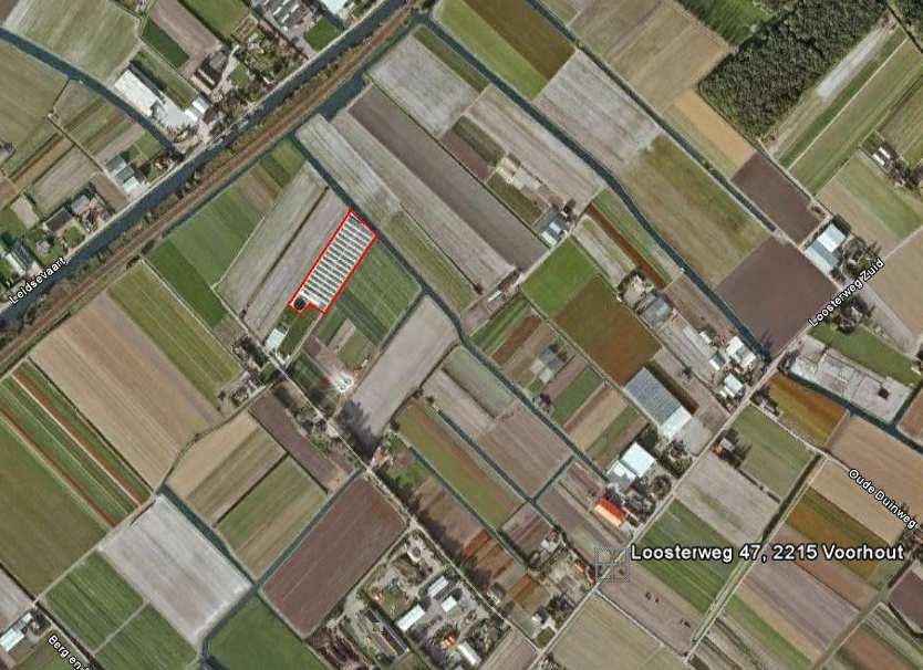 3.2 Omgeving Loosterweg Het bedrijfscomplex aan de Loosterweg is gelegen midden in de Berg en Daalpolder, een bollengebied tussen de Haarlemmer Trekvaart en de Loosterweg (Figuur 5).