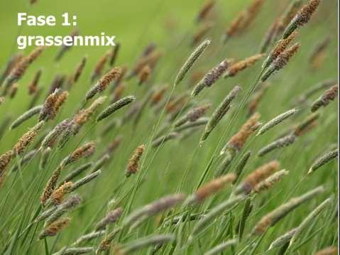Uitzicht: ruwe mozaïek Vooral grassen Grassen: Engels raaigras, ruw beemdgras, veldbeemdgras, fioringras, kropaar, beemdlangbloem,