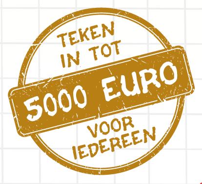 Wie: iedereen kan intekenen Je kan intekenen tot max 100 E- aandelen (per pakket van 25). 1 pakket = 1250 euro.